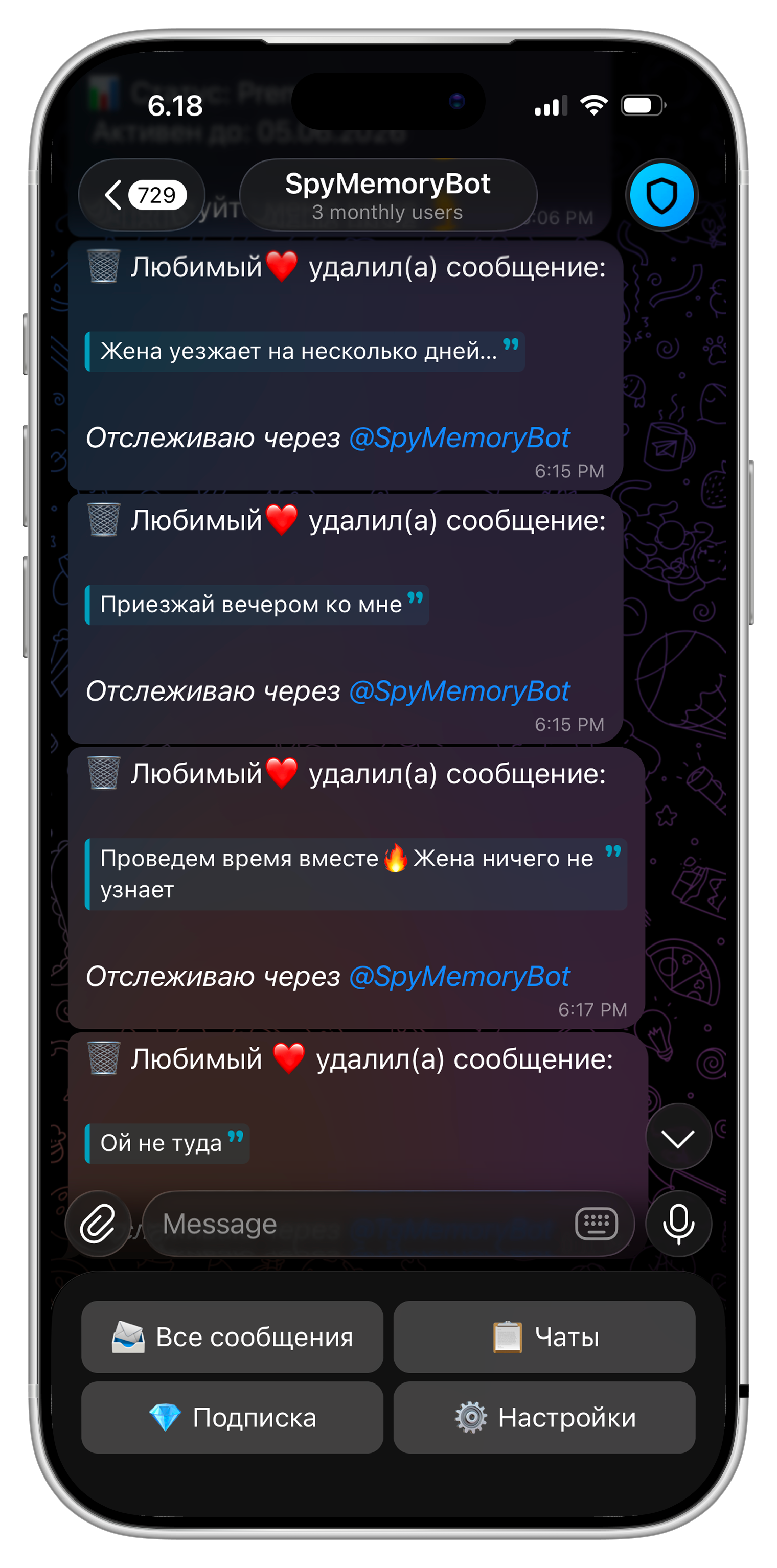 SpyMemoryBot love chat preview in iPhone